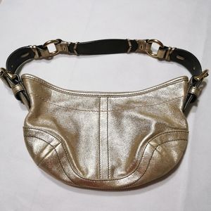 Coach Metallic Boho Leather Shoulder Bag